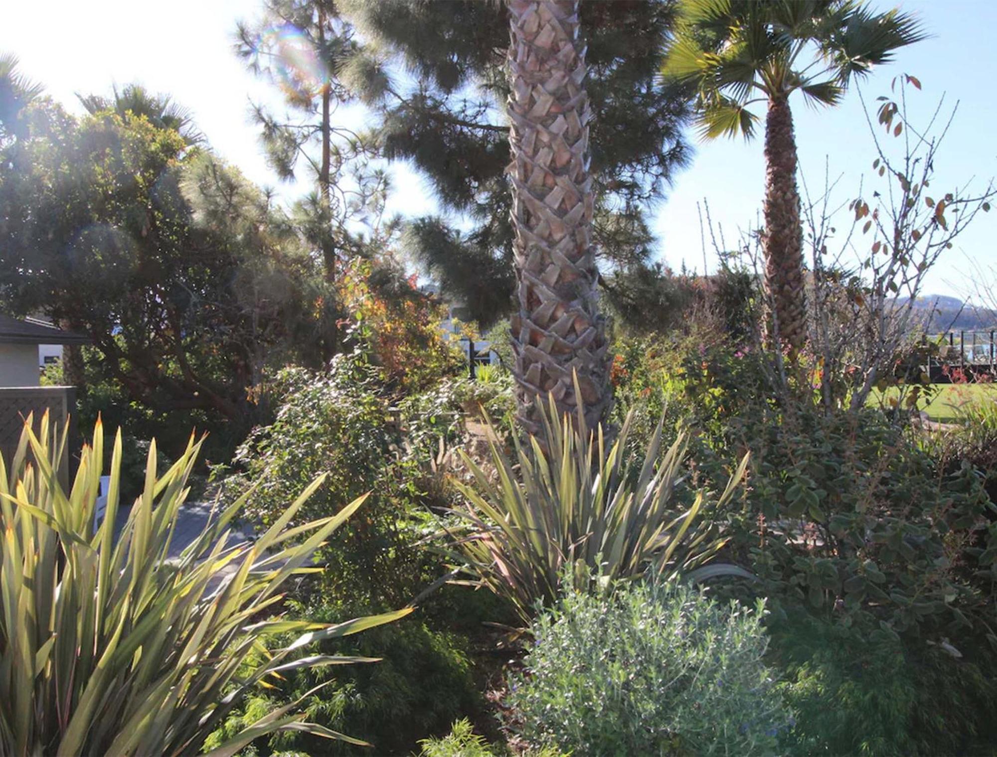 Back Bay Inn Los Osos Bagian luar foto