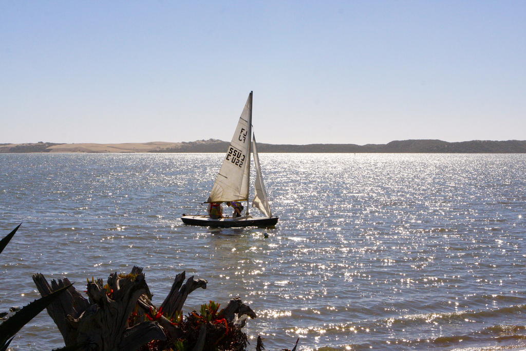 Back Bay Inn Los Osos Bagian luar foto